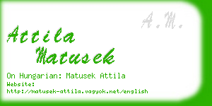 attila matusek business card